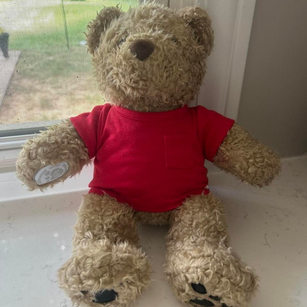 25th Anniversary Build a Bear Curly‎ Teddy Bear
